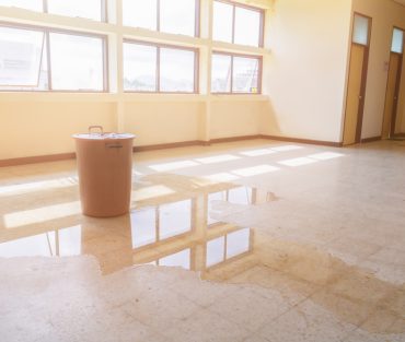 Water,Leak,Drop,Interior,Office,Building,In,Red,Bucket,From